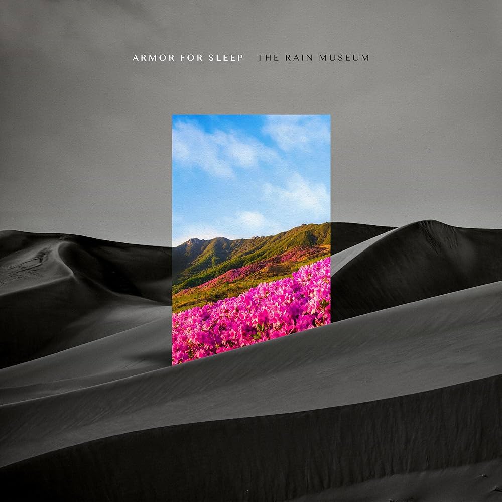 Amazon.com: The Rain Museum: CDs & Vinyl